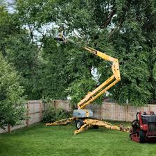 Best Emergency Tree Removal  in Parkway, CA